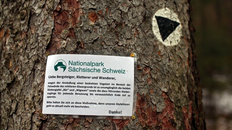 Mit Hinweisschildern wie diesem weist der Nationalpark auf die vorübergehende Gipfelsperrungen in der Sächsischen Schweiz hin.