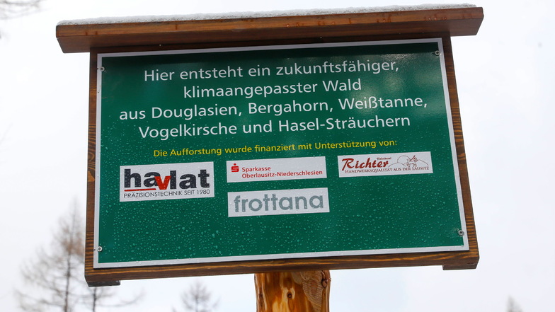 Einige Firmen aus Zittau und Umgebung spendeten für die Baumpflanzaktion. Eine Tafel weist auf die Sponsoren hin.