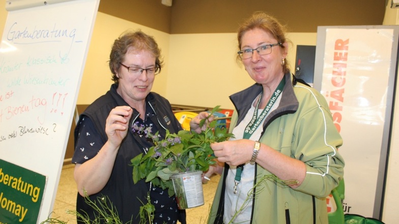 Simone Kochwatsch (links) holte sich bei Gartenexpertin Helma Bartholomay Rat und Auskunft zu verschiedenen Gewächsen.