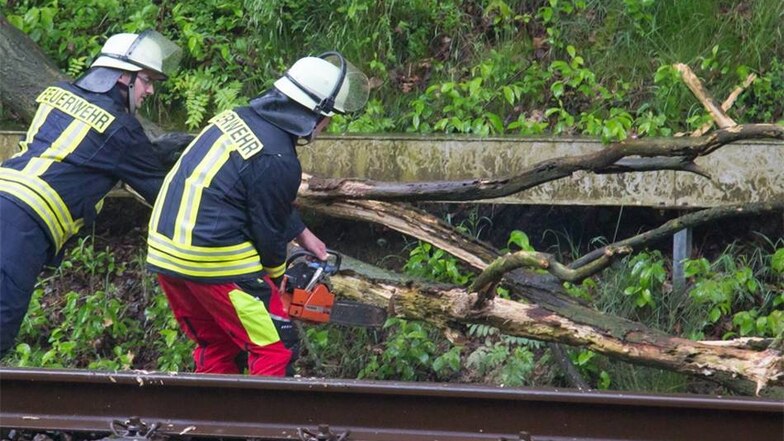 Ein heftiges Unwetter mit Regen, Blitz und Donner wütete am Dienstagabend. Auf der Zugstrecke zwischen Großharthau und Seeligstadt musste die Feuerwehr umgestürzte Bäume beseitigen.