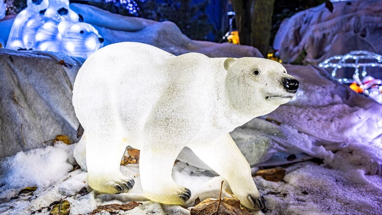 Dieser beleuchtete Polarbär schleicht durch den Garten der Familie Herbsts in Birkwitz.