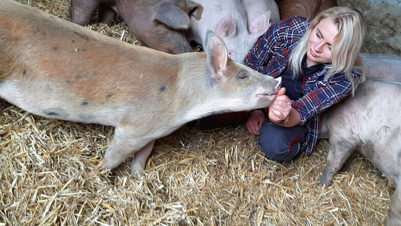 Tierärztin Jenny Knabe promoviert an der Universität Leipzig. Sie hat 2018 im Rahmen ihrer vorbereitenden Promotionsarbeit Duroc-Schweine der Agrarset AG Erlau untersucht, die speziell gefüttert und gehalten werden.