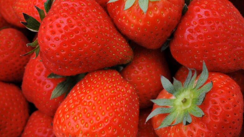 Warum sind Erdbeeren aus Spanien so billig?