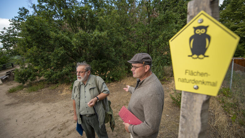 Thomas Westphalen (rechts) und Peter Schmidt vom Verein Sächsischer Heimatschutz erklärten im Herbst, wie der Waldumbau auf der Boselspitze erfolgen soll.