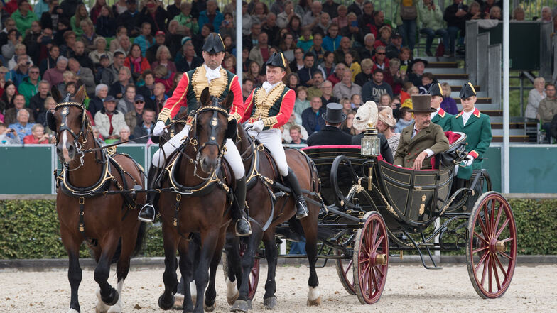 Pferde ziehen während der Hengstparade im Landgestüt Moritzburg eine Staatskalesche.