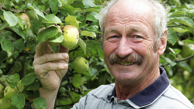 Der Pomologe Klaus Schwartz bestimmt beim Herbstfest mitgebrachte Äpfel und Birnen.