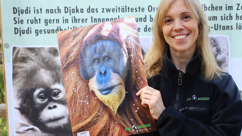 Tierischer Adventskalender aus dem Zoo Dresden