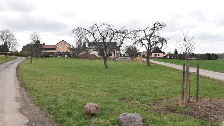 Auf dieser Wiese am Ortsrand von Reinberg will eine Familie neu bauen.