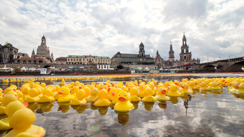 Am Sonntag werden wieder viele kleine Gelbe Plastikentchen auf der Elbe schwimmen.