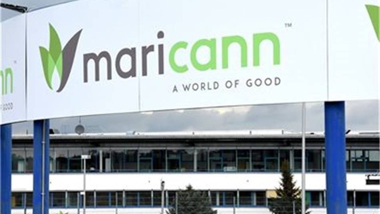 Im ehemaligen Löblein-Schlachthof Naunhof bei Großenhain residiert nun die Firma maricann, ein Hersteller von Cannabis für medizinische Zwecke. Im Gewerbepark soll ein europäisches Hanf-Kompetenz-Center entstehen.