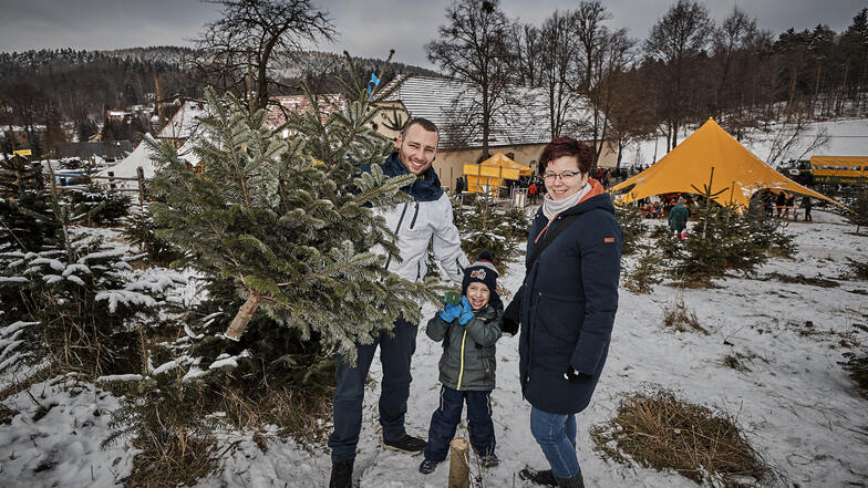 Familie  van Kolck hatte im Advent im letzten Jahr viel Spaß beim Weihnachtsbaumschlagen in Bad Gottleuba.