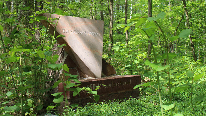 Etwas zugewuchert steht der Gedenkstein im Glaubitzer Wald, in der Nähe des Birkenteichs. Er erinnert an einen Todesmarsch, der mehrere Tage in Glaubitz Station machte.