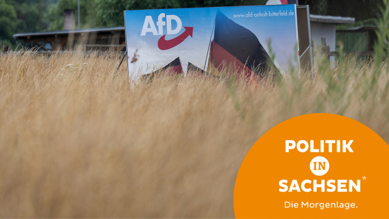 CDU, FDP, SPD, Grüne und Linke schließen regelmäßig aus, mit der AfD zusammenarbeiten zu wollen. Doch eine Studie der Rosa-Luxemburg-Stiftung zeigt, dass sie dies in den Kommunen längst tun.