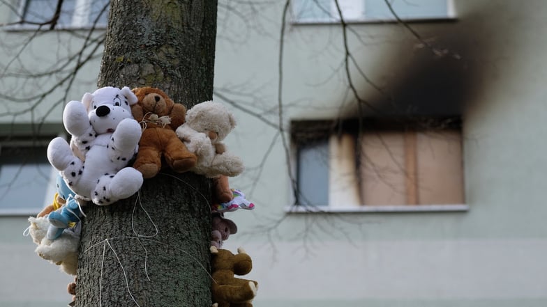 Plüschtiere sind an einem Baum vor dem Mehrfamilienhaus befestigt, in dem eine Mutter und zwei Kinder starben.