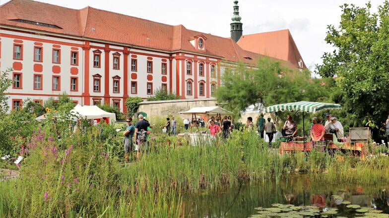 Kloster in Panschwitz-Kuckau lädt zum Kräutersonntag ein