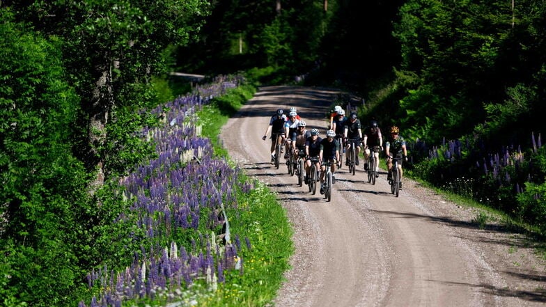 Wälder und Schotterstraßen – davon hat die Region Dalsland in Westschweden reichlich. Was liegt da näher, als den Urlaub auf dem Gravelbike zu verbringen?