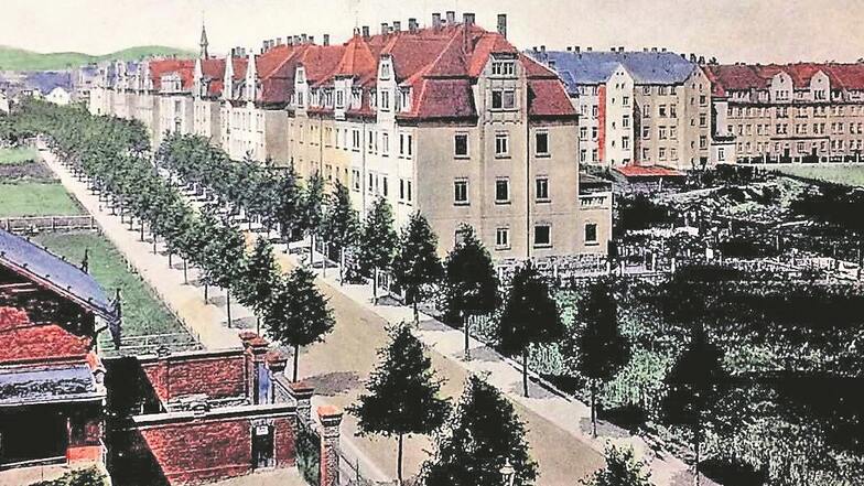 Diese historische Ansichtskarte zeigt noch etliche Lücken in der Löbauer Neustadt auf, hier ein Blick auf die heutige Breitscheidstraße.