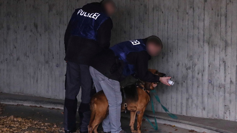 Am Tatort an der Kötzschenbroder Straße in Dresden kam ein Mantrailer-Hund zum Einsatz.