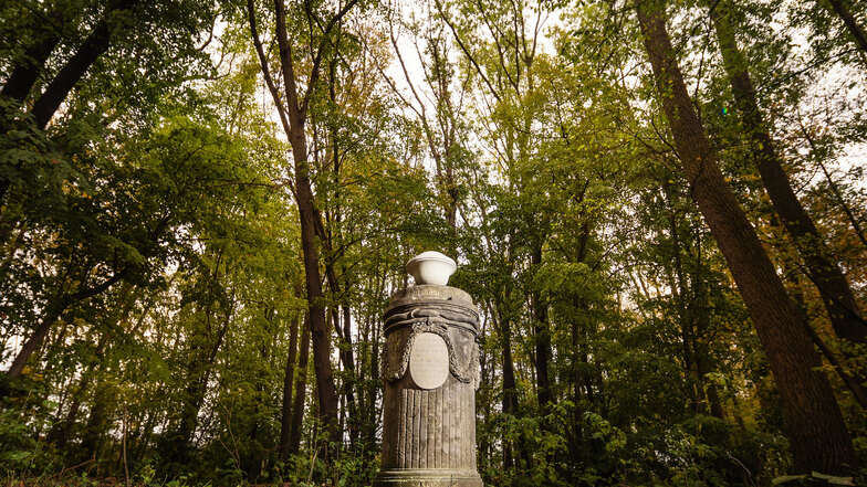 Naturschützer und Denkmalschützer fanden einen Kompromiss, damit die Säule wieder ordentlich auf der Gauernitzer Elbinsel steht.
