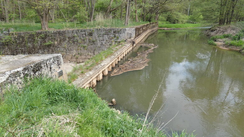 Zu den vom geplanten Umbau der Spree betroffenen Bauwerken gehört auch das sogenannte Streichwehr in der Nähe von Neudorf/Spree.