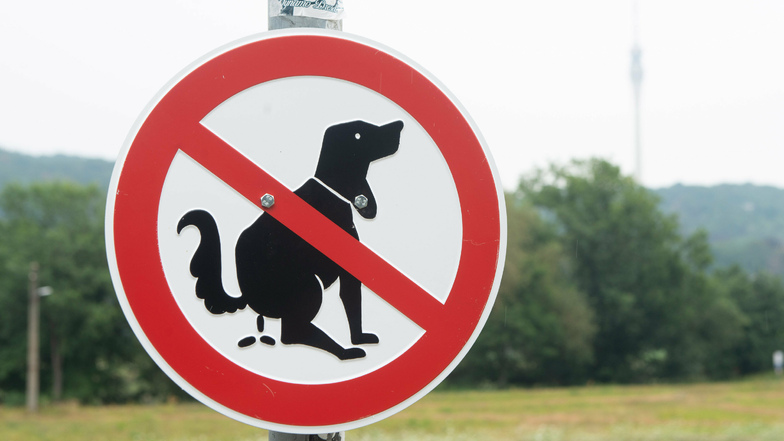 Mit diesen Verbotsschildern will die Drewag verhindern, dass das Trinkwasserschutzgebiet auf den Tolkewitzer Elbwiesen mit Hundehaufen verunreinigt wird. Tierfreunde kritisieren die Schilder.