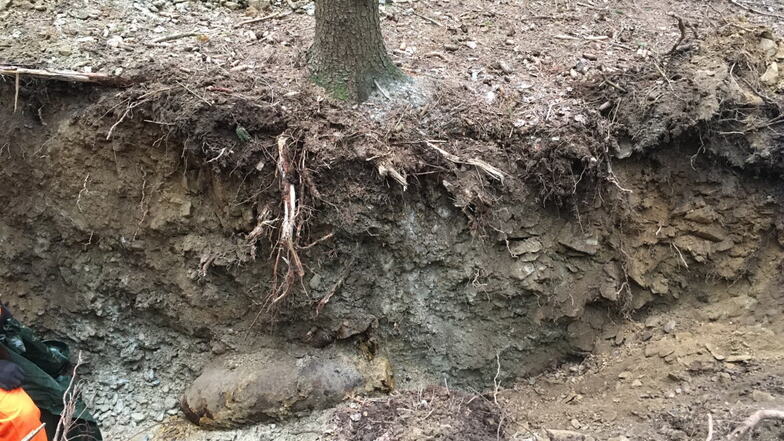 Eine halb ausgegrabene Fünf-Zentner-Bombe aus dem Zweiten Weltkrieg ist im Juni 2018 in einem Waldstück in Plauen gefunden worden. 