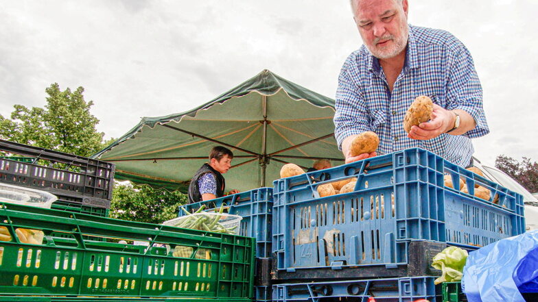 Sächsische.de-Reporter Tilo Berger wählt auf dem Bautzener Wochenmarkt Kartoffeln für das Mittagessen aus.