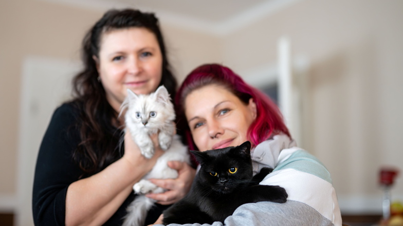 Ivonne Hartmann (r.), die hier gerade mit Katze Abby kuschelt, ist die neue Chefin des Tierschutzvereins Bischofswerda. Sie hat die Aufgabe von Manja Gumpert übernommen, die Katze Dina auf dem Arm hat.
