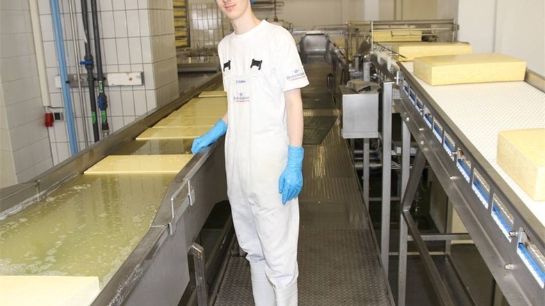 David Schäfer überwacht die weiteren Schritte der Käseherstellung in den Heinrichstalter Milchwerken Radeberg.