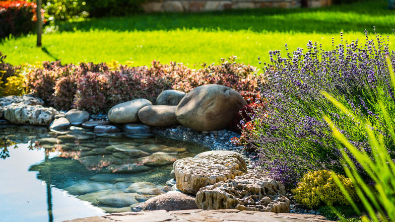 Ein beruhigender Zauber geht von diesem schönen Gartenteich mit Natursteinfassung und umgeben von Lavendel aus.