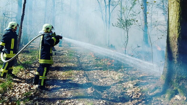Brandbekämpfung am Dienstag im Moritzburger Wald.