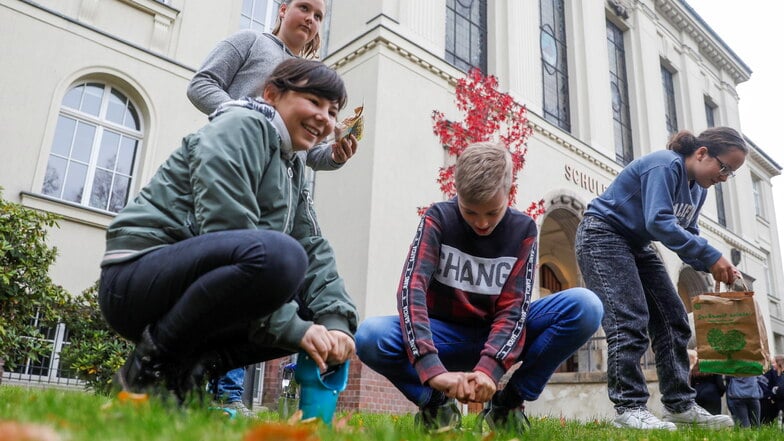 Auch das gehört zum Programm einer Klimaschule: Schüler der Weinau-Oberschule Zittau stecken 2022 Blumenzwiebeln vor ihrem Schulhaus.