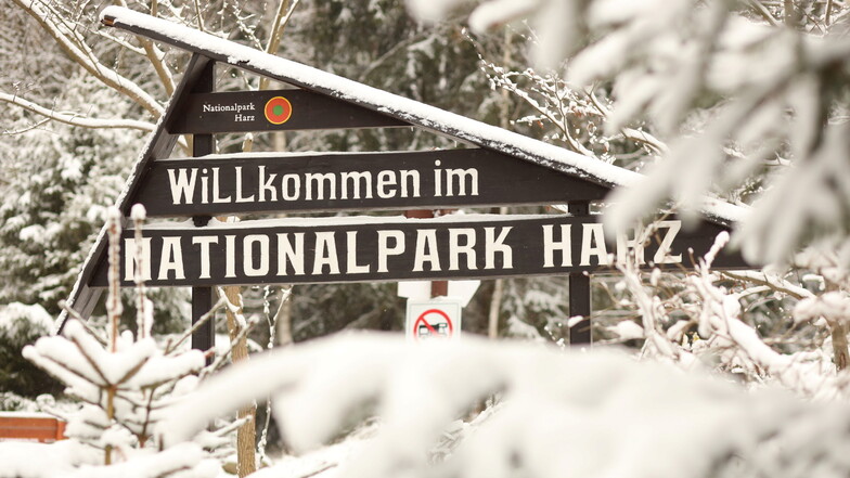 Sachsen-Anhalt, Schierke: Eine schneebedeckte Holztafel im Oberharz. Winterlich präsentiert sich der Oberharz im Landkreis Harz.