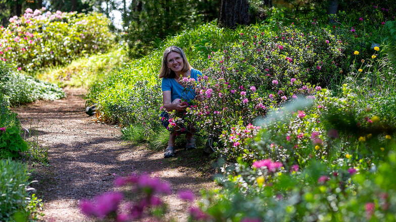 Ein Bild aus besseren Tagen: Leiterin Annette Zimmermann im Botanischen Garten Schellerhau im Sommer 2020. Mittlerweile wurde allen Mitarbeitern gekündigt.