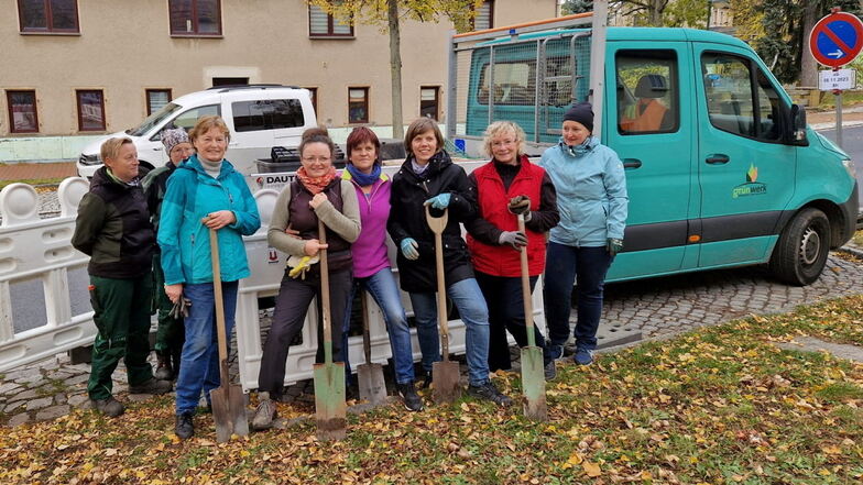 Dieses Team sorgte dafür, dass am Mittwoch 2.500 Blumenzwiebeln auf der Grünfläche an der Freiberger Straße in Wilsdruff gesteckt wurden.