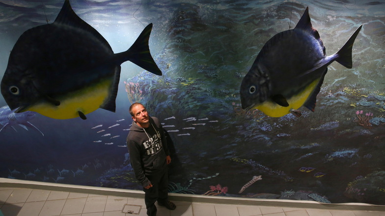Museumsmitarbeiter Bodo Plesky beobachtet Pflasterzahnfische, die auch in der neuen Sonderausstellung zu sehen sind.