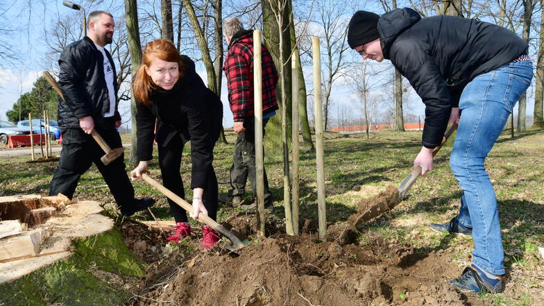 Antonia Mertsching, Landtagsabgeordnete der Linken, hat am Mittwoch Bäume auf dem Horken gepflanzt.