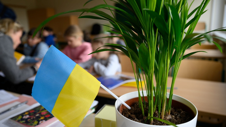 Grundschüler aus der Ukraine sitzen in Dresden in einem Klassenzimmer: Sachsen hat Zehntausende Menschen aus dem von Russland überfallenen Staat aufgenommen.
