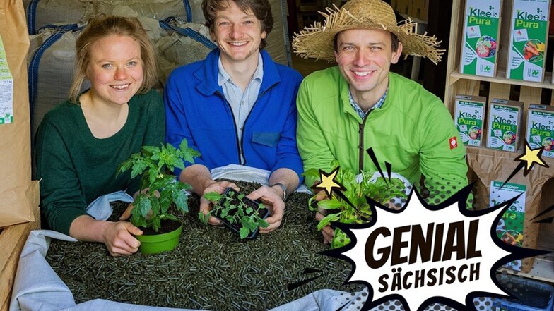 Miriam Knödler, Simon Scheffler und Torsten Mick (v.l.n.r.) machen aus Klee kleine Kraftpakete für Pflanzen.