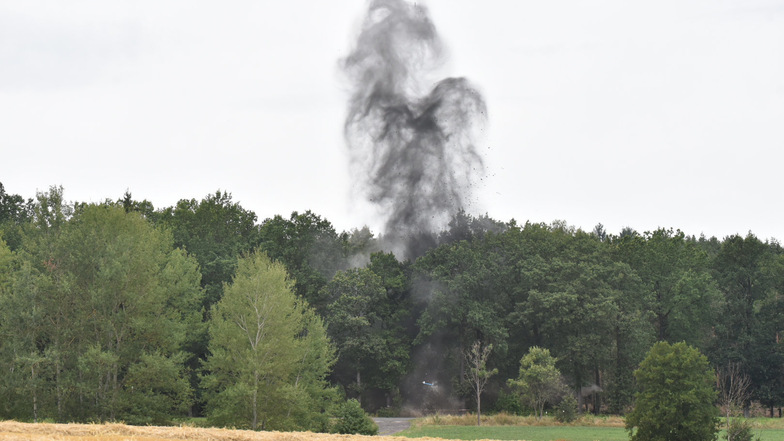 Immer wieder wird in der Dippser Heide Munition unschädlich gemacht. Hier wurde vergangenen Sommer eine Panzermine gesprengt.