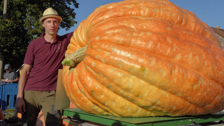 Andreas Baumert präsentiert in Ludwigsdorf seinen 936-Kilo-Rekordkürbis.