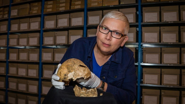 Christiane Hemker zeigt den Schädel des Toten aus Grab 20. Im archäologischen Archiv Sachsen lagern in 60.000 Kartons rund 18 Millionen Befunde.