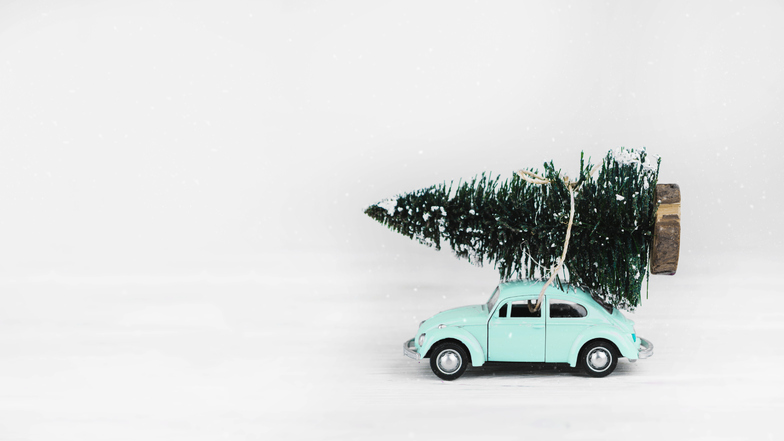 Es ist nicht ganz so leicht, den Weihnachtsbaum mit dem Auto zu transportieren. Was es zu beachten gibt, erklärt der Beitrag.