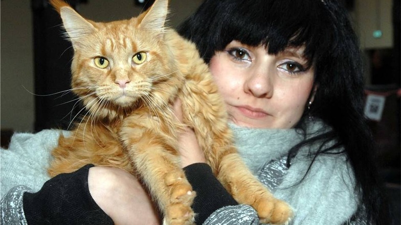 Sandra Kara aus Köigswartha mit ihrer Maine-Coon-Katze.