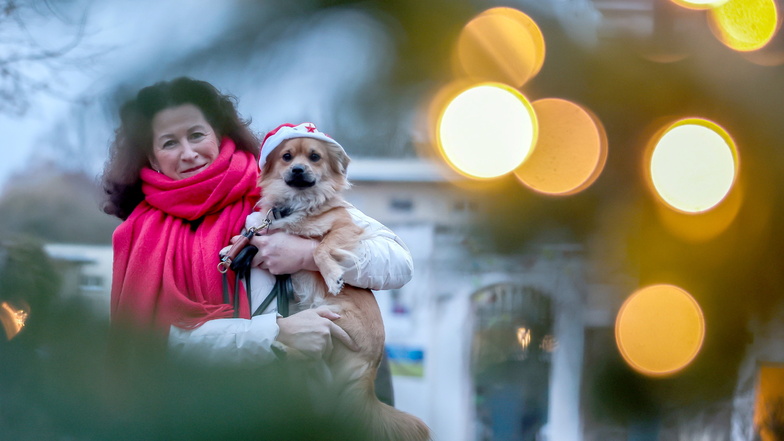 Monika Eckstein-Scheffler steht mit Hund Bobby auf dem Arm an einem beleuchteten Weihnachtsbaum.