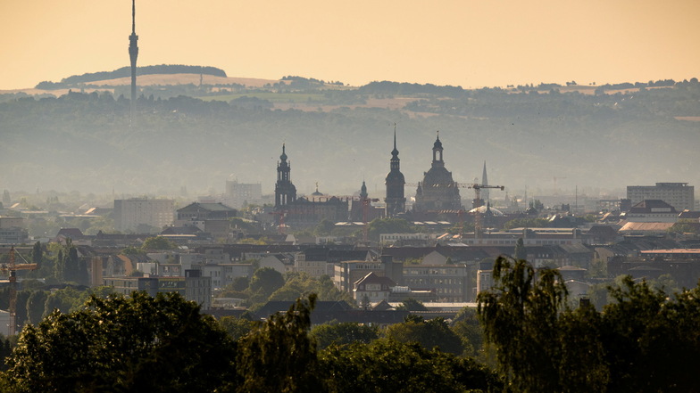 Es ziehen wieder mehr Menschen nach Dresden als weg. Welche Stadtteile sind besonders beliebt bei Neu-Dresdnern?