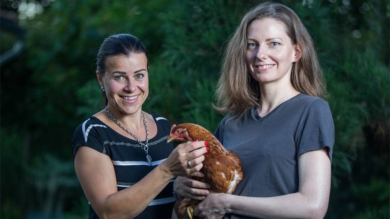 Eine Nacht schlief das Huhn bei Yvonne Heine (rechts) im Notquartier. Jetzt kümmert sich Romy Morsch (l) um das Huhn.