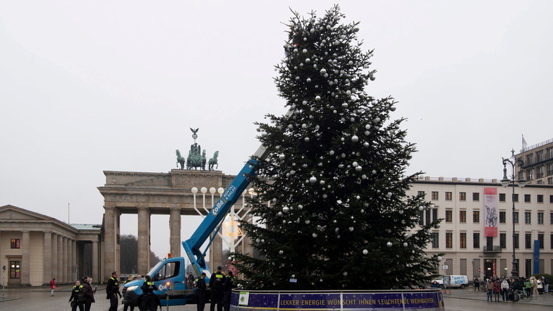 Ohne Spitze: der Weihnachtsbaum vor dem Brandenburger Tor.