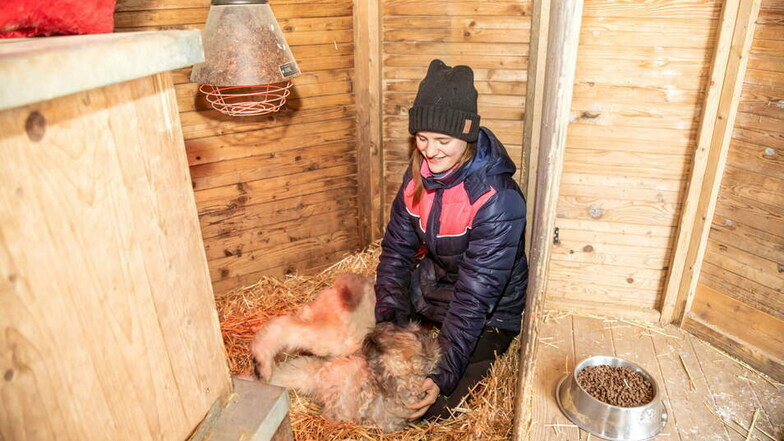 Im Tierheim Horka werden die Bewohner auch bei Frostbedingungen gut versorgt.