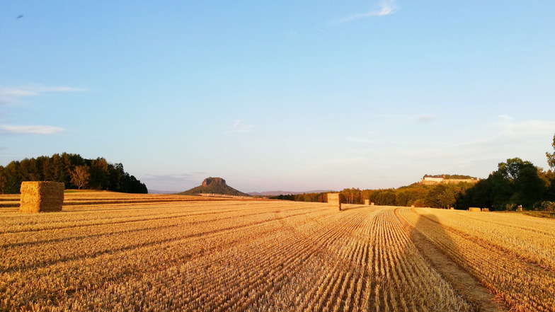 Der Blick über die Felder hinweg zum Königstein und Lilienstein gehört zu den Lieblingsfotos von Kerstin Meve-Garreis aus Pirna.